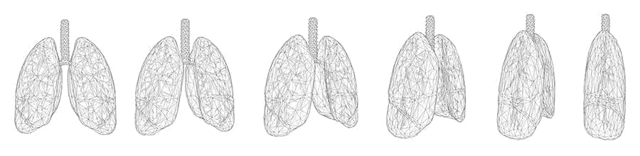 vector set. lungs and bronchi. 3d elements for design vector set of lungs outline