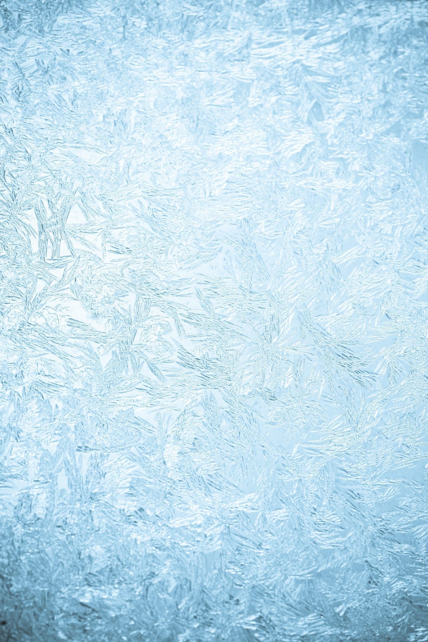 Close-up shot of some icy-flowers on a window